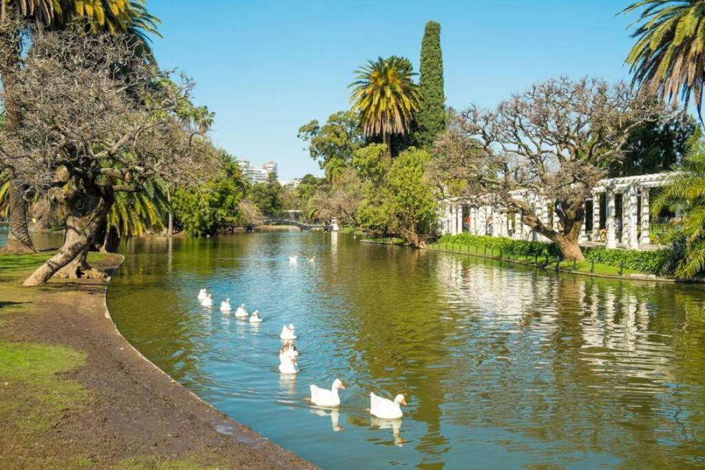 Excelente Piso Muy Luminoso En Palermo Leilighet Buenos Aires Eksteriør bilde